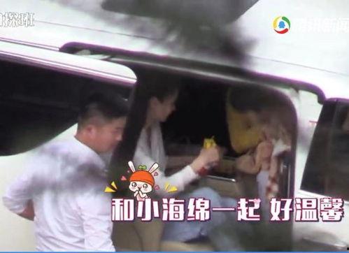 小海绵最新爆料辟谣视频,揭秘真相背后的真相  第1张